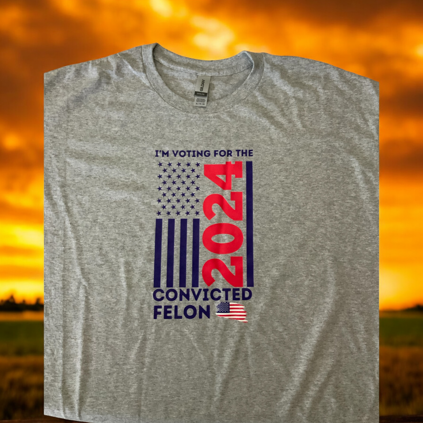 I’M VOTING FOR THE CONVICTED FELON 2024